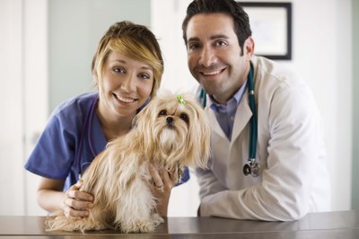 Jupiterimages/Stockbyte/Getty Images Call your dog's veterinarian if your dog displays any kennel cough symptoms.