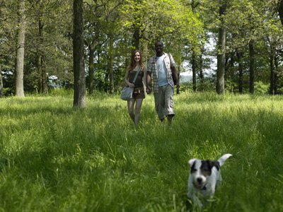 Michael Blann/Photodisc/Getty Images Ticks live in the grass and attach to your dog when he's outside.