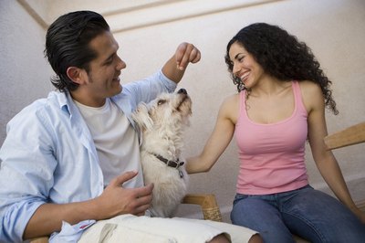 Barry Austin Photography/Stockbyte/Getty Images Applesauce and oatmeal help create a healthy and tasty treat for your dog.