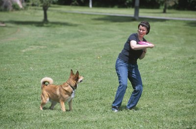 Hemera Technologies/AbleStock.com/Getty Images Exercise can prevent nuisance barking during confinement.
