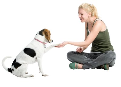 Jupiterimages/PhotoObjects.net/Getty Images Check your dog's nails regularly to see if they need to be trimmed.