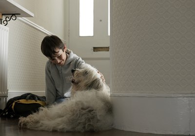 John Howard/Lifesize/Getty Images Your dog may chew on the baseboard while he is waiting for you to come home.