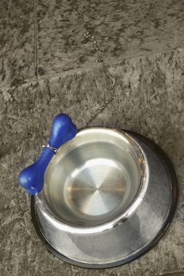 Medioimages/Photodisc/Photodisc/Getty Images Consider filing your dog's bowl with tasty, frozen rabbit.