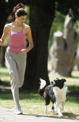 Stockbyte/Stockbyte/Getty Images Good nutrition and exercise are part of a healthy lifestyle for dogs.
