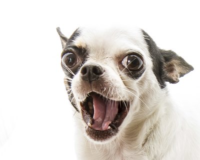 Images_By_Kenny/iStock/Getty Images "I'm ready for my close-up."