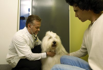Dean Golja/Digital Vision/Getty Images Yearly examinations help detect many forms of blastoma.