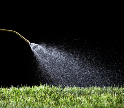 Thomas Northcut/Lifesize/Getty Images Water your grass thoroughly to dilute the dog urine so that your grass stays lush and green.