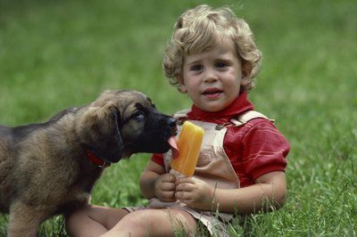 Jupiterimages/Photos.com/Getty Images Sometimes, your dog's motivation for licking is obvious.