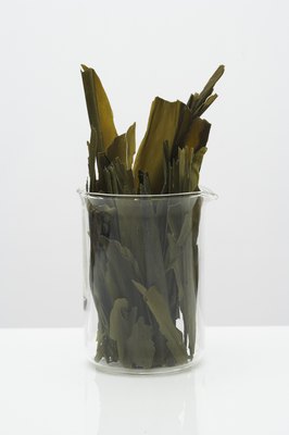 Thomas Northcut/Photodisc/Getty Images Seaweed is packed with minerals, vitamins and antioxidants.