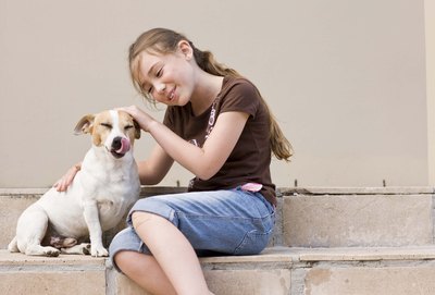 Jupiterimages/BananaStock/Getty Images Clicker training reinforces good behaviors in dogs.