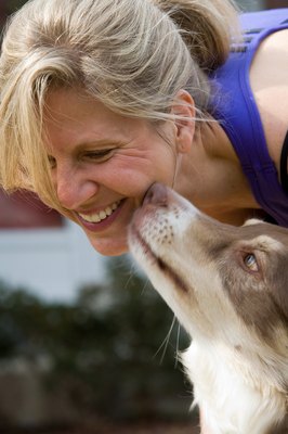 Jupiterimages/Photos.com/Getty Images Exact placement of dogs' chin whiskers vary from dog to dog.