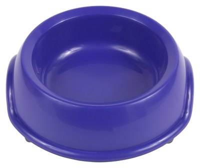 Hemera Technologies/PhotoObjects.net/Getty Images Dogs require a fresh and readily available water source.