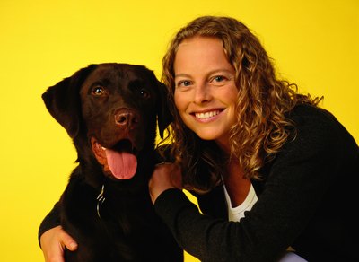 Ryan McVay/Photodisc/Getty Images The Labrador retriever leads American Kennel Club registration statistics year after year.