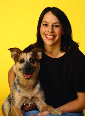 Ryan McVay/Stockbyte/Getty Images Blue heeler pups should have an alert expression.