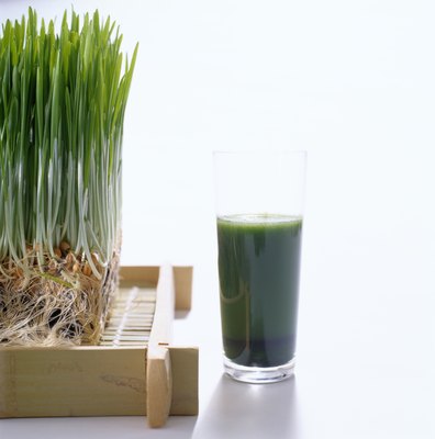 Ryan McVay/Photodisc/Getty Images Your pet can benefit from nutrients found in wheat grass.