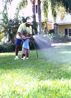 George Doyle/Stockbyte/Getty Images Water all areas where there was parvo infected feces to avoid spreading the virus.