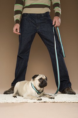 Image Source/Stockbyte/Getty Images Watch for signs that he needs to relieve himself.