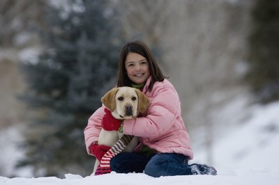Comstock Images/Stockbyte/Getty Images Exposure to cold temperatures may cause your dog to develop hives.