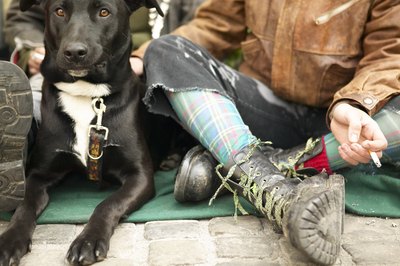 Hemera Technologies/AbleStock.com/Getty Images Smoke can invade your dog's lungs and cause cancer.