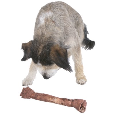Ablestock.com/AbleStock.com/Getty Images A rawhide bone can be easily washed.