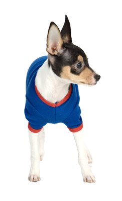 Jupiterimages/PhotoObjects.net/Getty Images Recycling your sweaters will save you a lot of money.