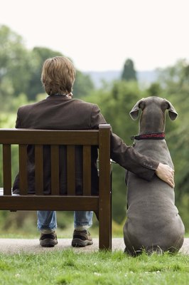 Jupiterimages/Polka Dot/Getty Images Find your furry friend