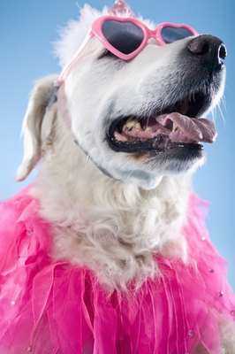 Apple Tree House/Lifesize/Getty Images "Fur loss is so embarrassing!"