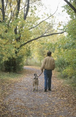 Hemera Technologies/AbleStock.com/Getty Images With a Gentle Leader, your dog knows you're in charge.