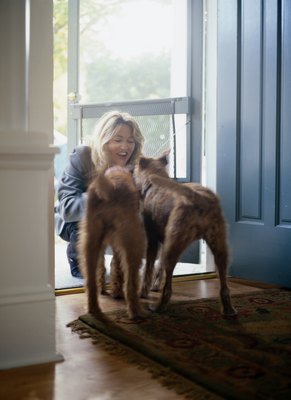 Ryan McVay/Stockbyte/Getty Images It takes time and patience to help your dog overcome separation anxiety.