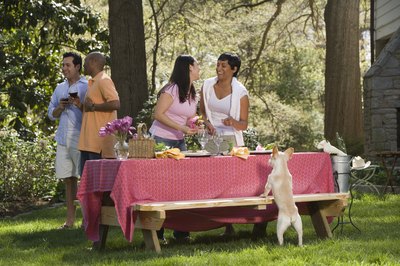 Comstock Images/Stockbyte/Getty Images A dog with a heart condition should avoid "people food."