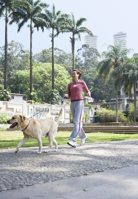 Jupiterimages/Creatas/Getty Images Dogs have sweat glands only on the pads of their feet.
