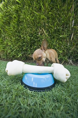 Brand X Pictures/Brand X Pictures/Getty Images A big chew toy is useless to a tiny dog.