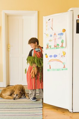 Jupiterimages/Pixland/Getty Images Your dog might enjoy fresh carrots as a snack.