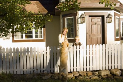 Jupiterimages/Stockbyte/Getty Images Dogs like to come and go as they please.