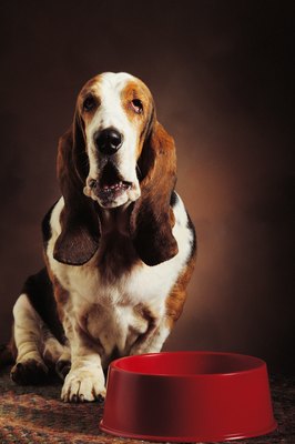 Comstock/Stockbyte/Getty Images Cyclosporine should be given on an empty stomach.