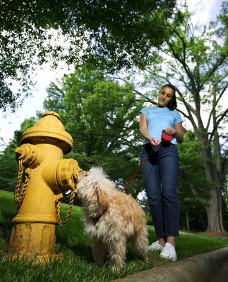 Thinkstock/Comstock/Getty Images You could petition the fire department to install a hydrant at your home.