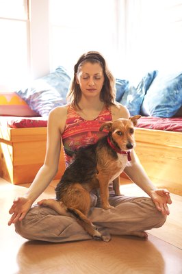 Jupiterimages/Comstock/Getty Images Keep Fido calm using natural ingredients and remedies.