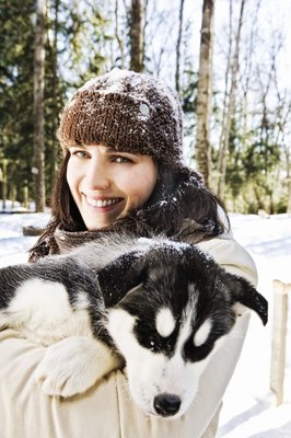 Jupiterimages/Stockbyte/Getty Images Husky or Malamute? Learn the differences before choosing your snow-loving companion.