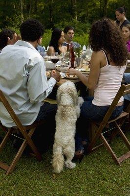 Thomas Jackson/Lifesize/Getty Images "Excuse me, I think you've forgotten my chair."