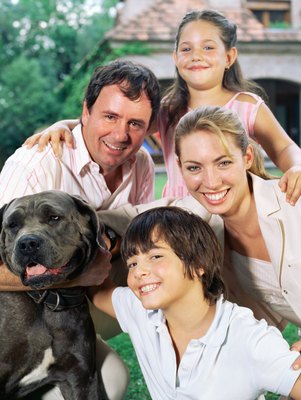Image Source/Stockbyte/Getty Images Fearless yet gentle, this giant is an ideal guardian and companion.