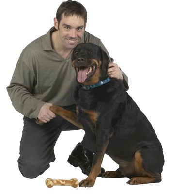Hemera Technologies/PhotoObjects.net/Getty Images Be alert to lameness and tenderness in your dog's legs.