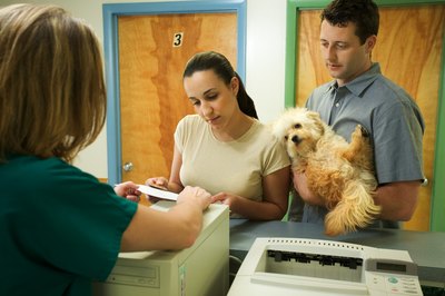 Thinkstock/Stockbyte/Getty Images If he's sick as a dog, Zofran can stop his vomiting.