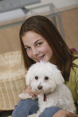 Comstock/Stockbyte/Getty Images Allergy and asthma sufferers should consult their physician before choosing a dog breed.