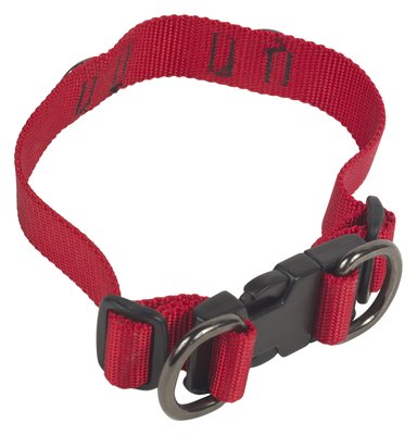 Hemera Technologies/PhotoObjects.net/Getty Images The most commonly used dog collars are traditional flat and rolled collars.