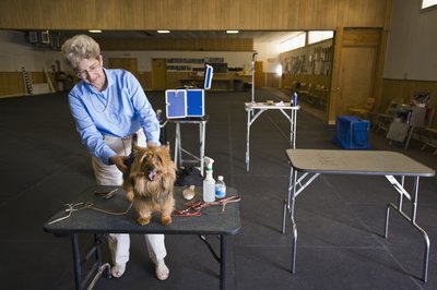Apple Tree House/Lifesize/Getty Images Using a table while grooming can make the task more comfortable for both dog and groomer.