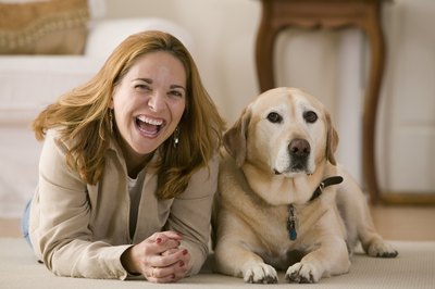Comstock Images/Comstock/Getty Images Your pup's cough isn't contagious to you.
