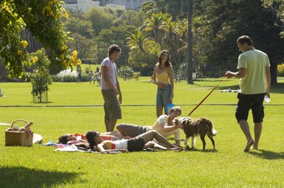 Kane Skennar/Photodisc/Getty Images Socialization teaches a dog to appropriately introduce himself.