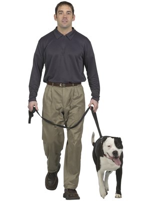 PhotoObjects.net/PhotoObjects.net/Getty Images You can make a dog lead to suit your specific needs.