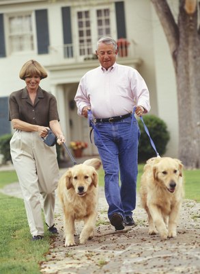 Steve Mason/Photodisc/Getty Images Keep retractable leashes short when humans and other dogs are approaching.