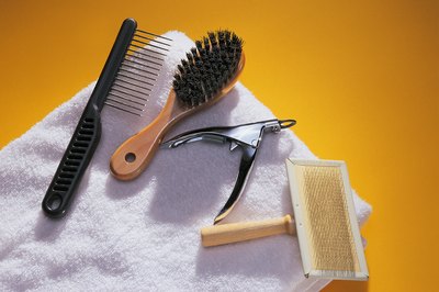 Comstock/Stockbyte/Getty Images Pick up proper brushing tools to help your Akita while he sheds.
